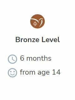 bronze 1
