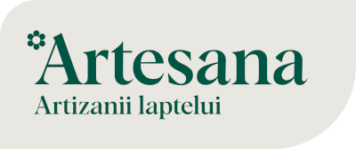 Logo Artesana PNG Transparent