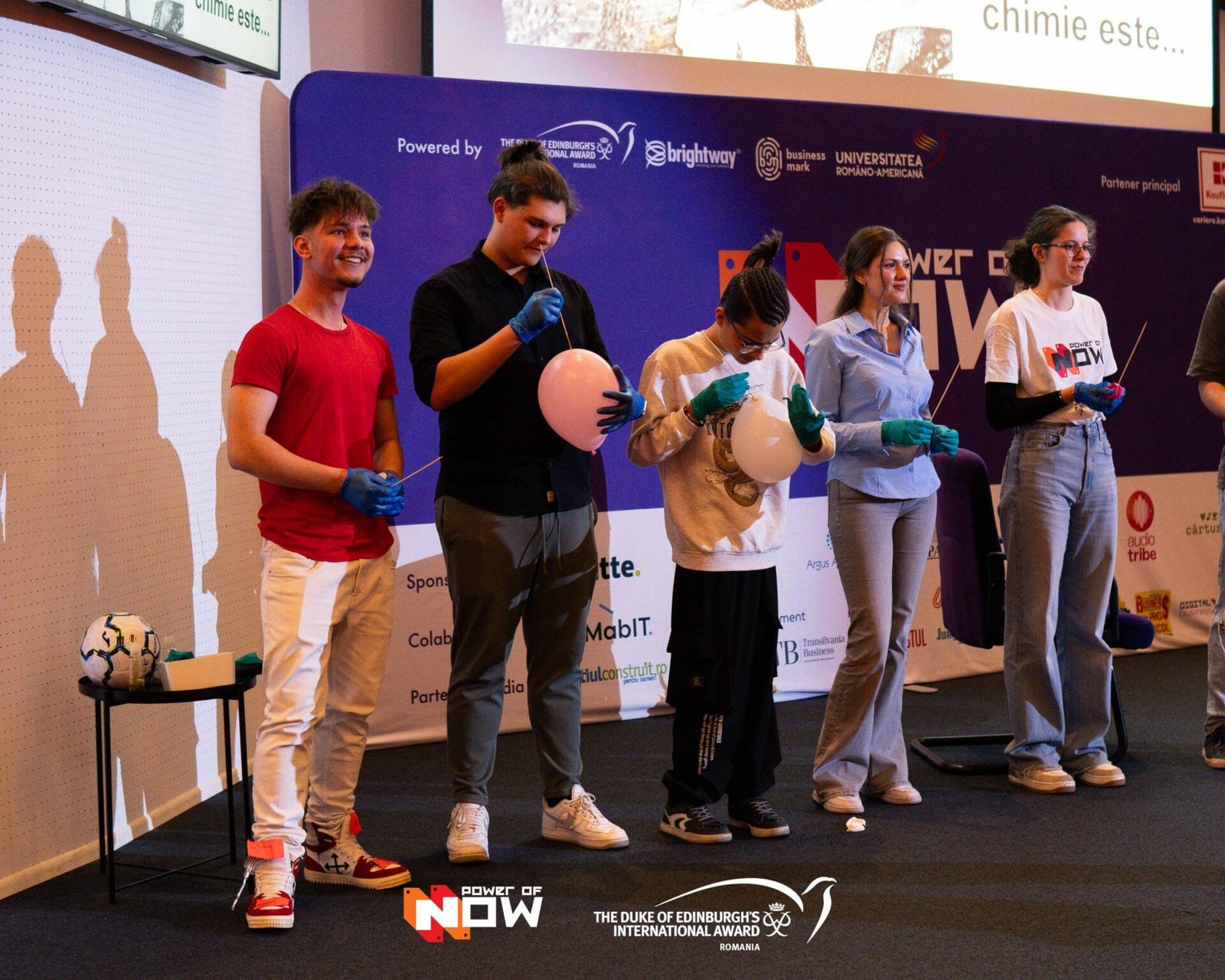 electie II Alb (39 of 79)